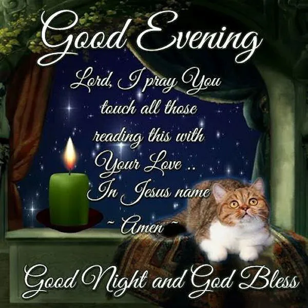 Good Evening Greetings Greeting Cards 9022