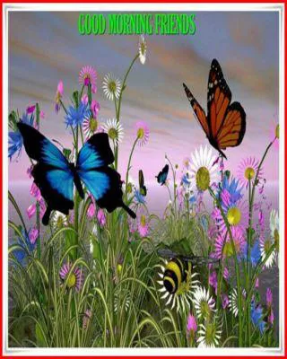 Good Morning Wishes Greeting Cards 6679