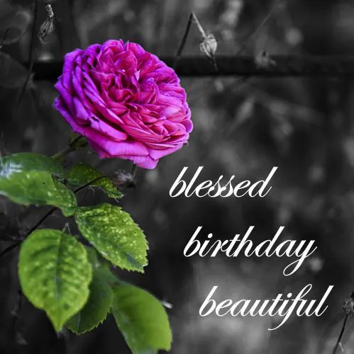 Birthday Greetings Greeting Cards 3261