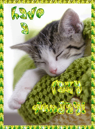 Sunday Greetings Greeting Cards 10228