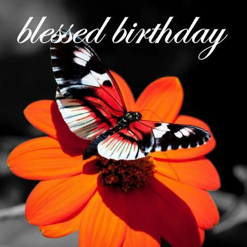 Birthday Greetings Greeting Cards 3259