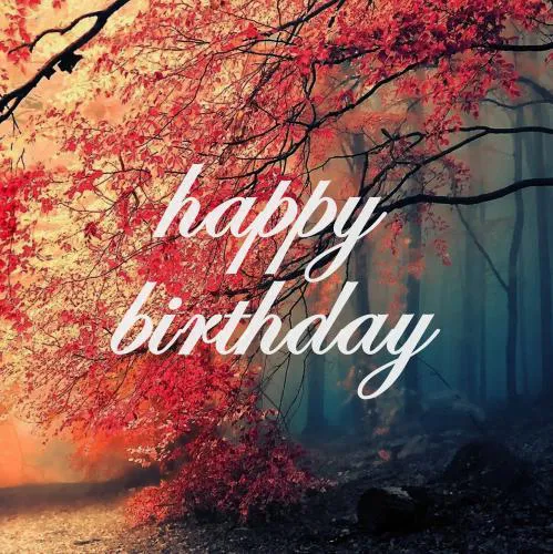 Birthday Greetings Greeting Cards 3329
