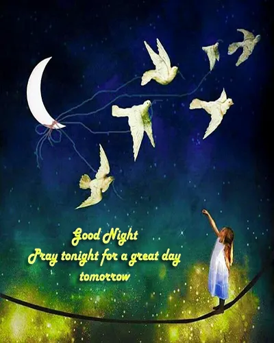 Good Night Greetings Greeting Cards 25985