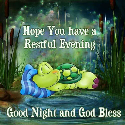 Good Night Greetings Greeting Cards 25818