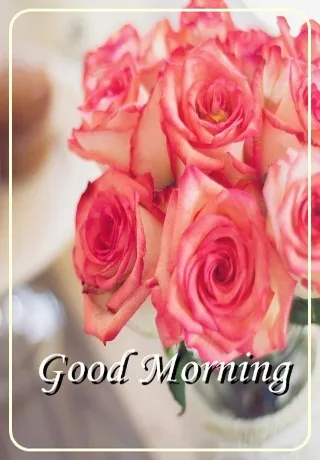 Saturday Greetings Greeting Cards 15276