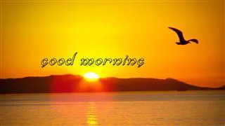 Good Morning Wishes Greeting Cards 6677