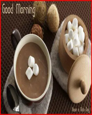 Good Morning Wishes Greeting Cards 6664
