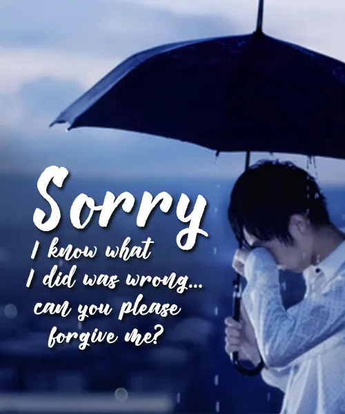 I Am Sorry Greetings Greeting Cards 52103