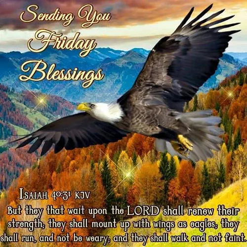 Everyday Greetings Greeting Cards 25154