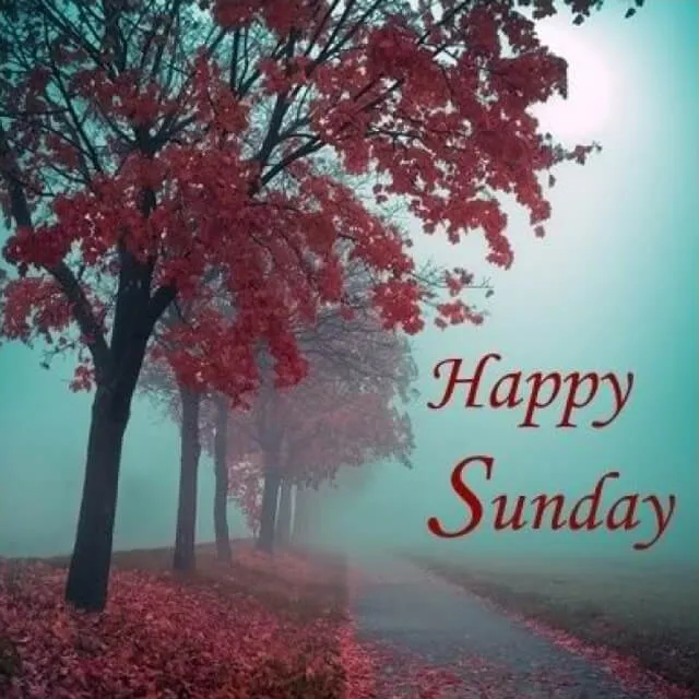 Weekend Greetings Greeting Cards 50656