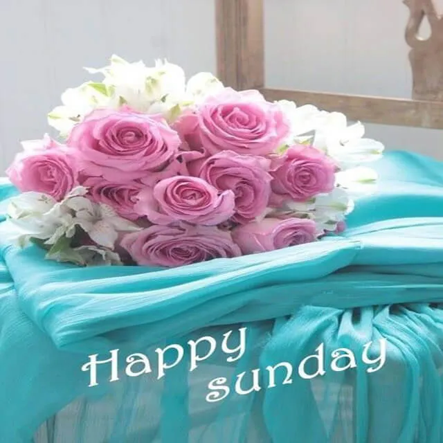 Weekend Greetings Greeting Cards 50657