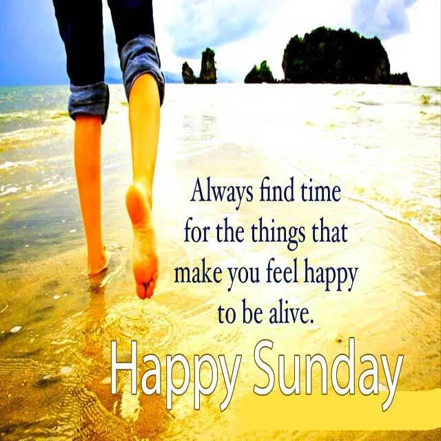 Weekend Greetings Greeting Cards 50662