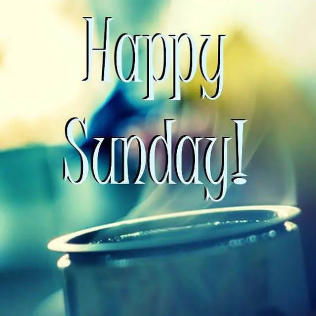 Weekend Greetings Greeting Cards 50648