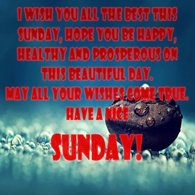 Weekend Greetings Greeting Cards 50681