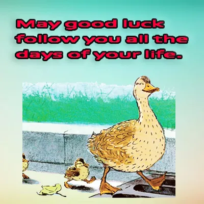 All The Best Greetings Greeting Cards 44759