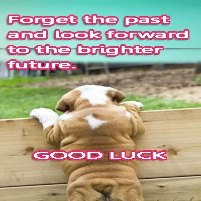 All The Best Greetings Greeting Cards 44760