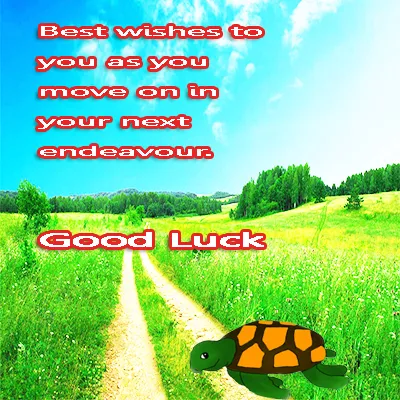 All The Best Greetings Greeting Cards 44764