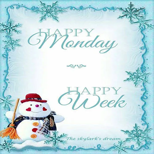 Everyday Greetings Greeting Cards 24283
