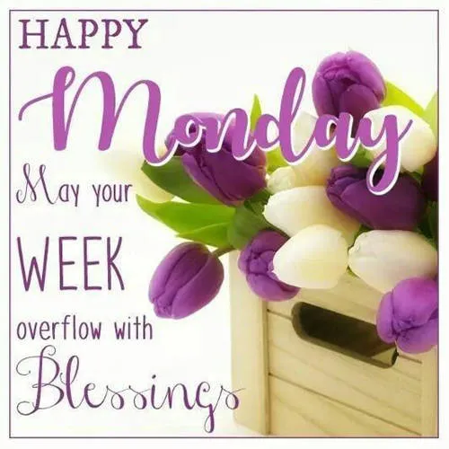 Everyday Greetings Greeting Cards 24314
