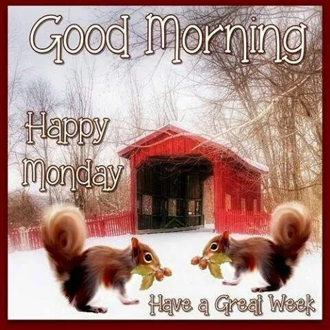 Everyday Greetings Greeting Cards 24313