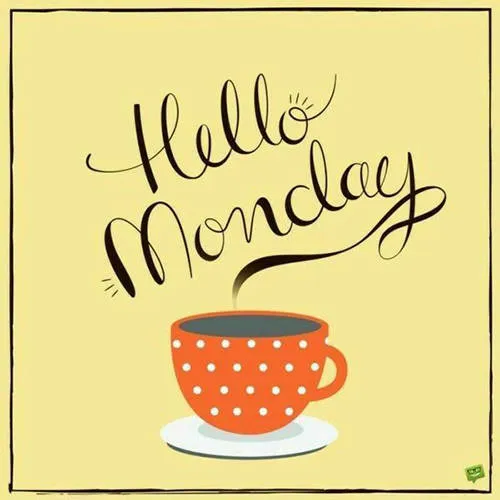 Everyday Greetings Greeting Cards 24311