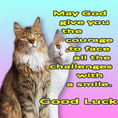 All The Best Greetings Greeting Cards 44784