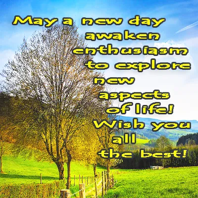 All The Best Greetings Greeting Cards 44792