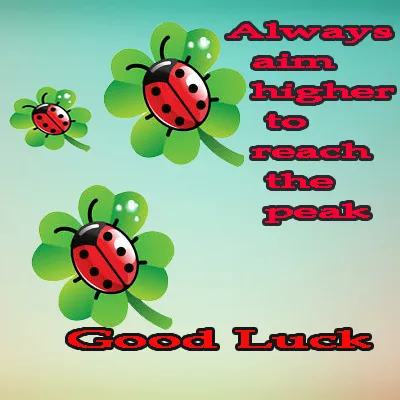 All The Best Greetings Greeting Cards 44790