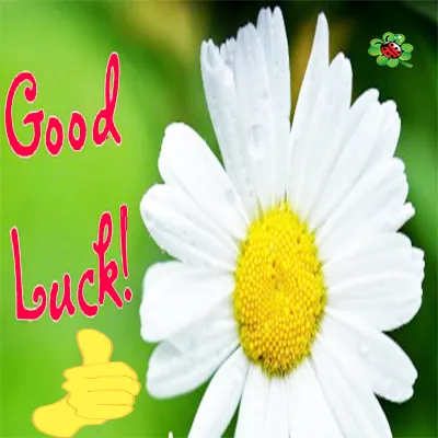 All The Best Greetings Greeting Cards 44791