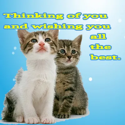 All The Best Greetings Greeting Cards 44783