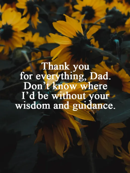 Fathers Day Greeting Cards 47483