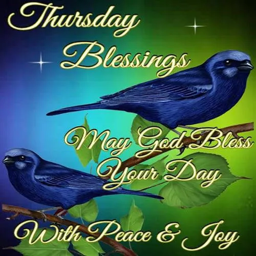 Everyday Greetings Greeting Cards 25014
