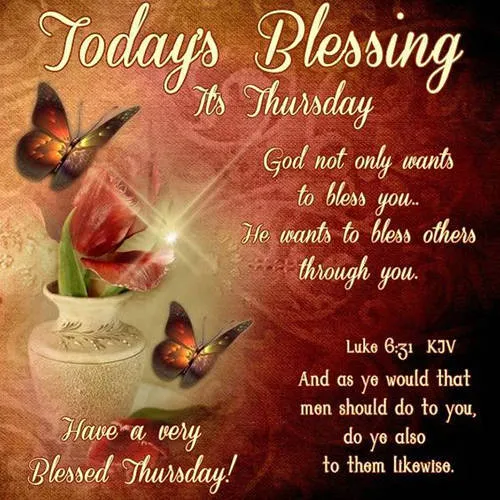 Everyday Greetings Greeting Cards 25015