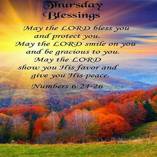 Everyday Greetings Greeting Cards 25040
