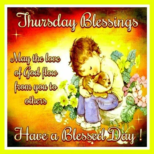 Everyday Greetings Greeting Cards 24962