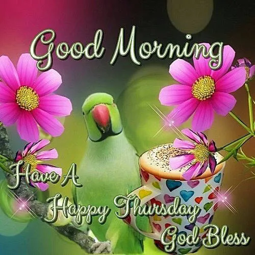 Everyday Greetings Greeting Cards 24959