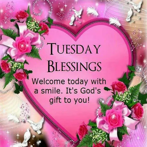 Everyday Greetings Greeting Cards 24653