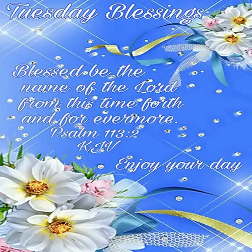 Everyday Greetings Greeting Cards 24658