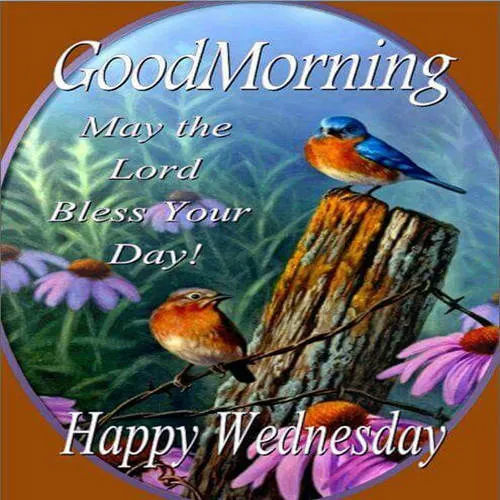 Everyday Greetings Greeting Cards 24689