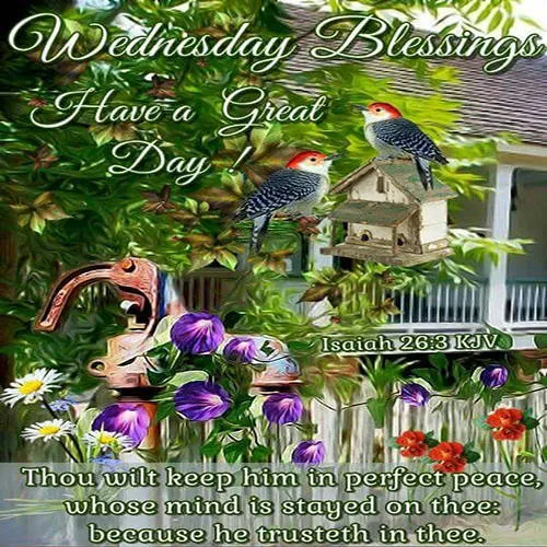 Everyday Greetings Greeting Cards 24851