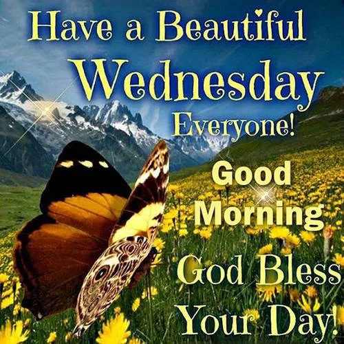 Everyday Greetings Greeting Cards 24848