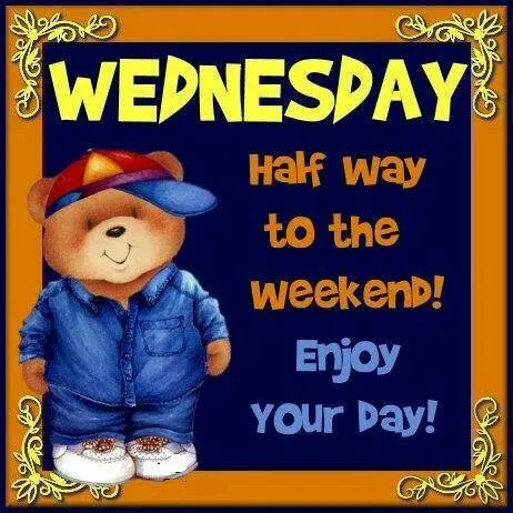 Everyday Greetings Greeting Cards 24690