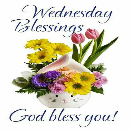 Everyday Greetings Greeting Cards 24691
