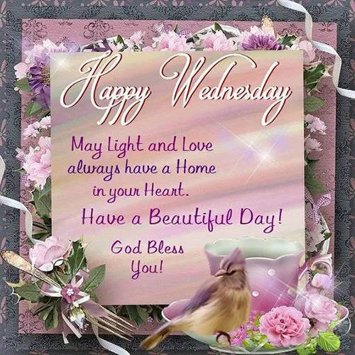 Everyday Greetings Greeting Cards 24849