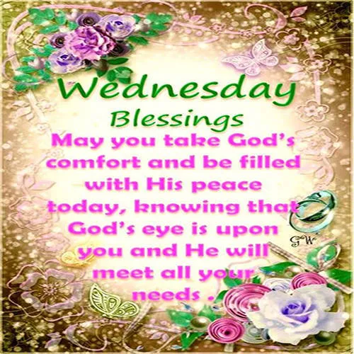 Everyday Greetings Greeting Cards 24852