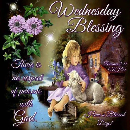 Everyday Greetings Greeting Cards 24854