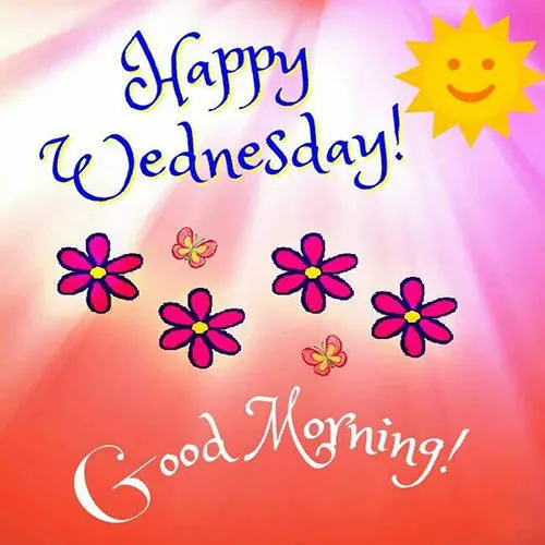 Everyday Greetings Greeting Cards 24695