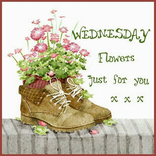 Everyday Greetings Greeting Cards 24694