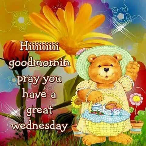 Everyday Greetings Greeting Cards 24697