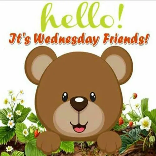 Everyday Greetings Greeting Cards 24696